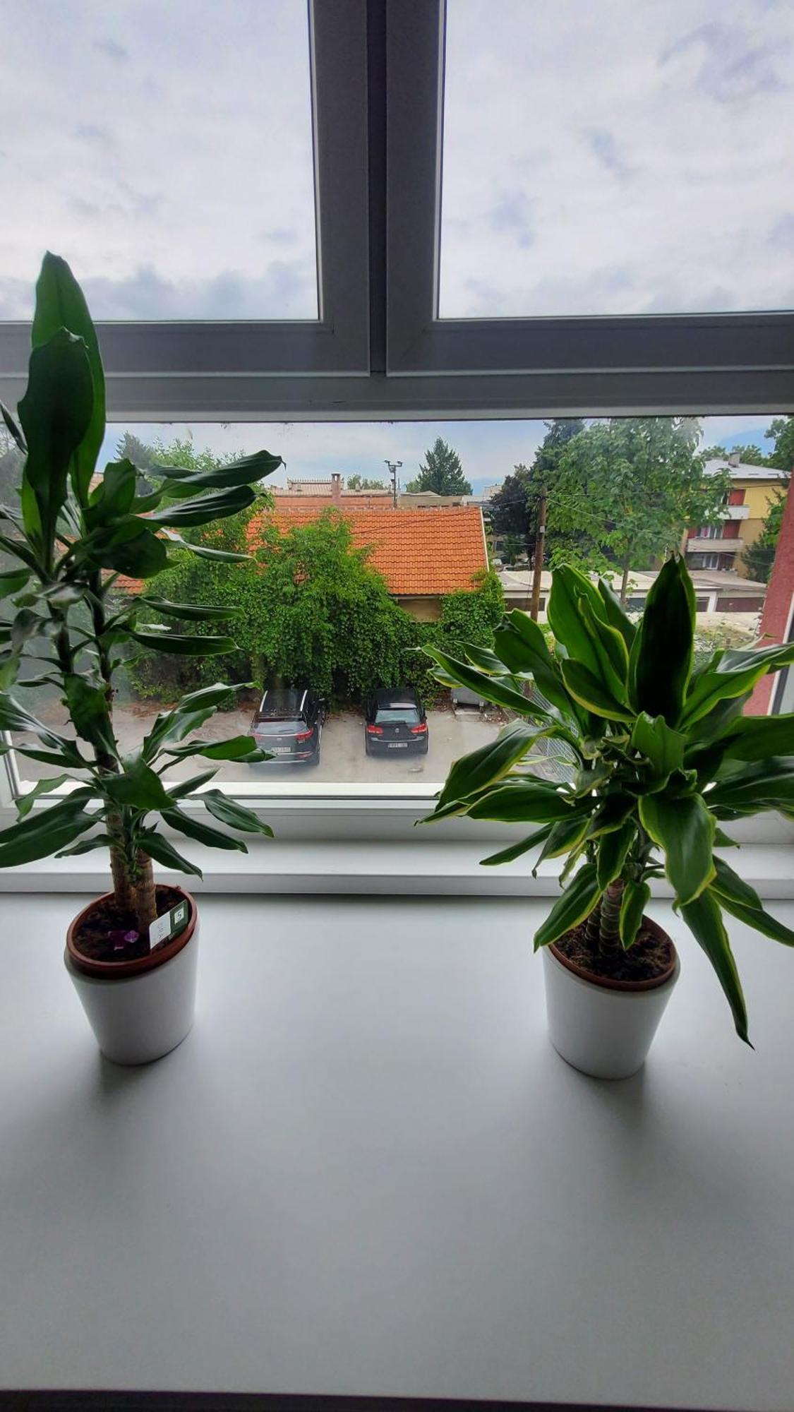 Apartmani Blue I Green Bugojno Luaran gambar